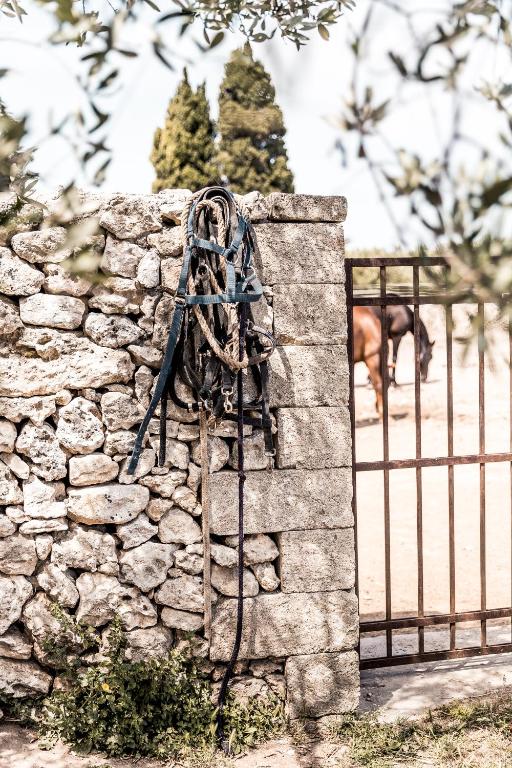 Fotografie z fotogalerie ubytování Masseria Prosperi v destinaci Alimini