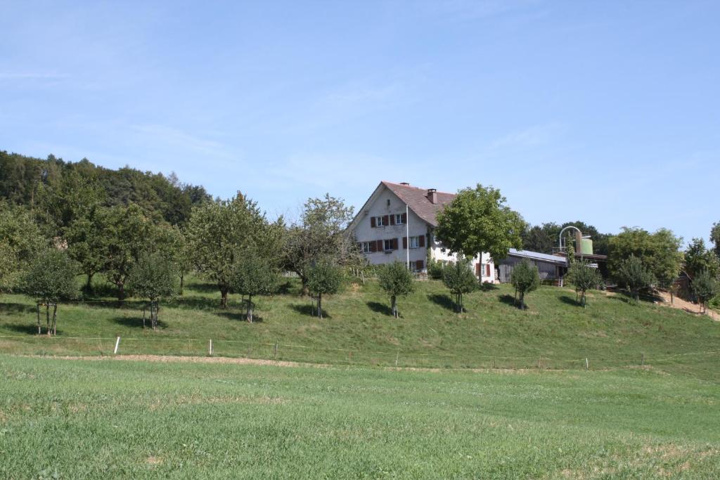 een huis op een heuvel met een veld bij BnB im Waldhof in Schneisingen