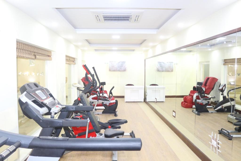 Fitness centrum a/nebo fitness zařízení v ubytování Hotel Harrison Palace