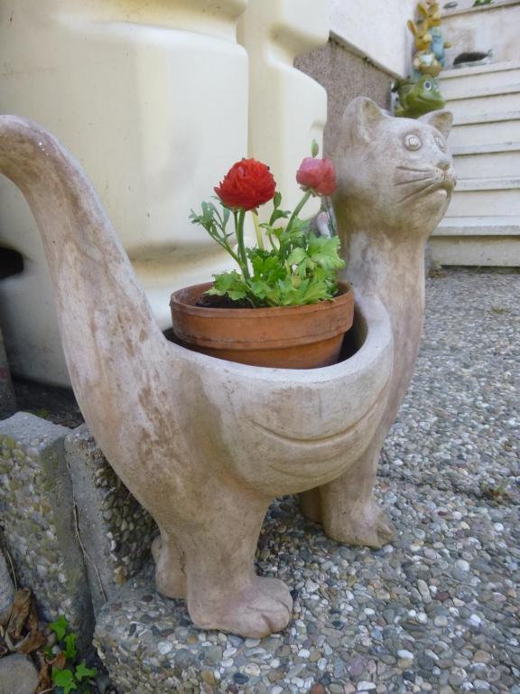 Fotografie z fotogalerie ubytování Jardin Fleuri v destinaci Lingolsheim