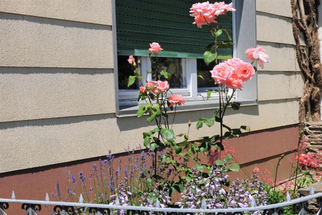 Zahrada ubytování Ferienwohnung ALEX