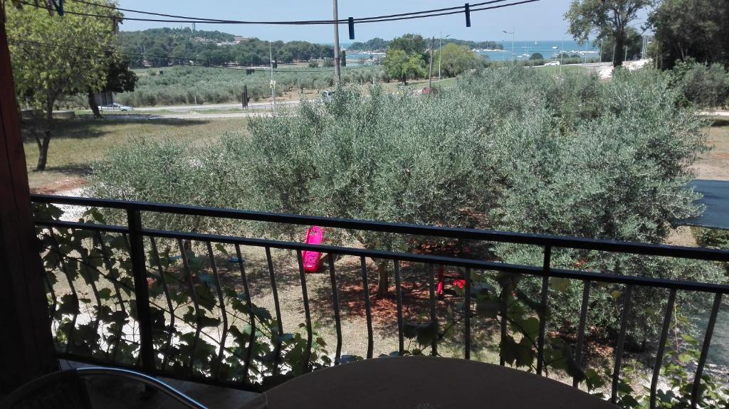 a balcony with a pink umbrella and a bush at Guesthouse Porec in Poreč