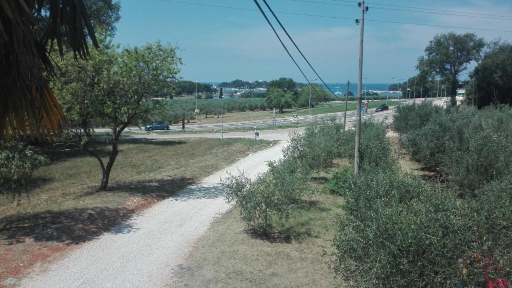 a dirt road with trees on the side of a road at Guesthouse Porec in Poreč