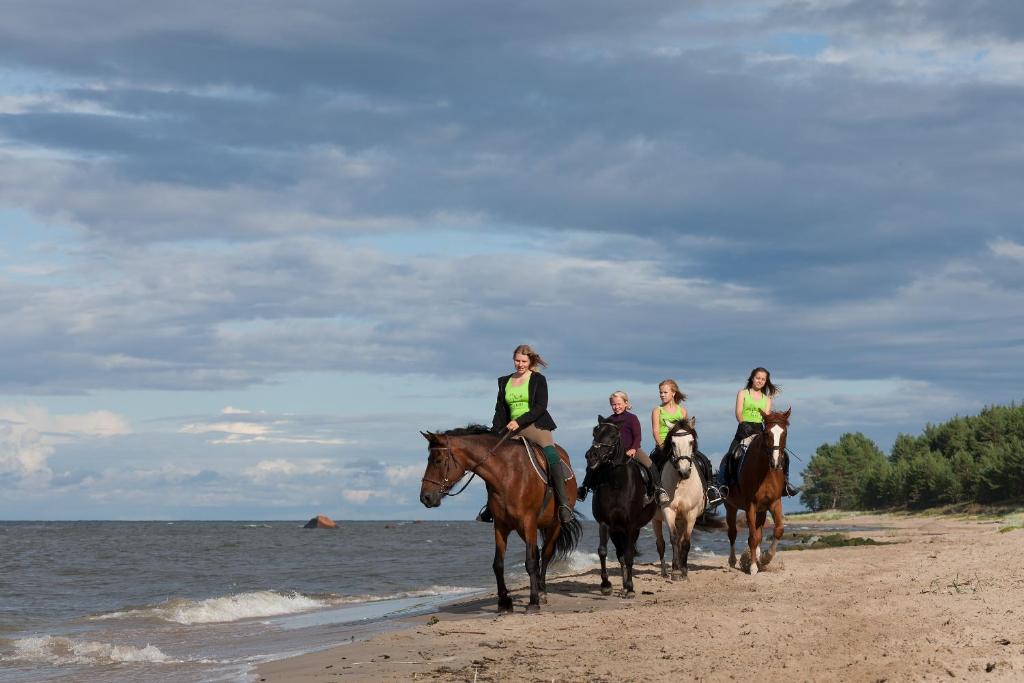 eine Gruppe von Menschen, die am Strand reiten in der Unterkunft Arma Riding Farm And Holiday Home in Rutja