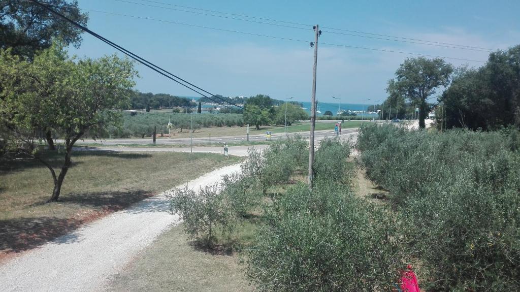 a dirt road with trees on the side of a road at Guesthouse Porec in Poreč