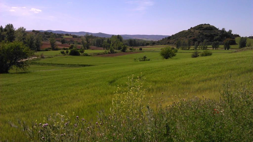 Príroda v okolí hotela