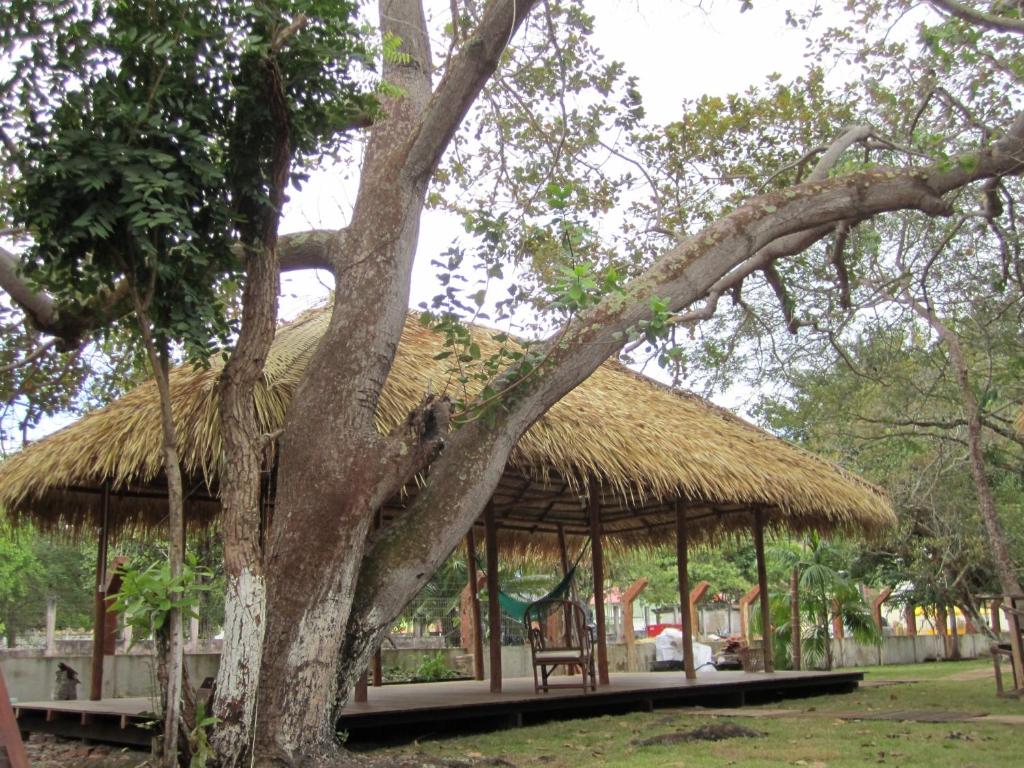  Hostel Pousada do Tapajós