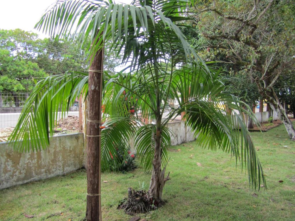  Hostel Pousada do Tapajós