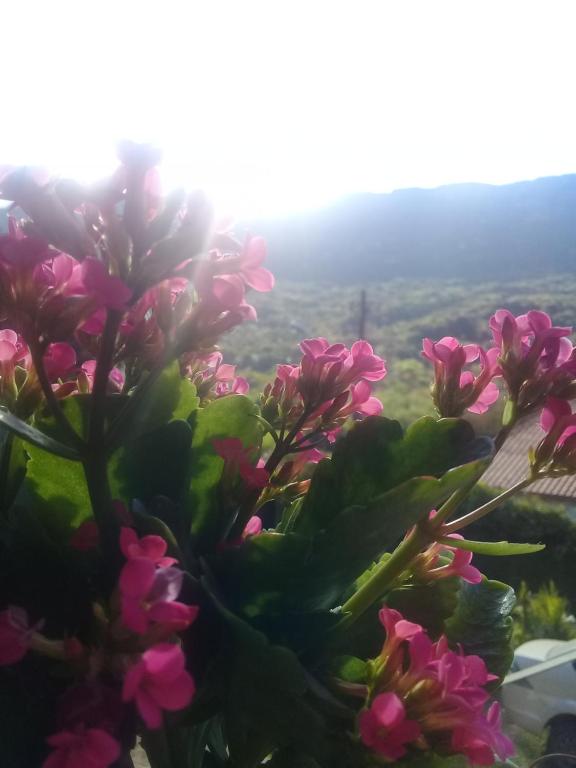  Pousada Nascer do Sol