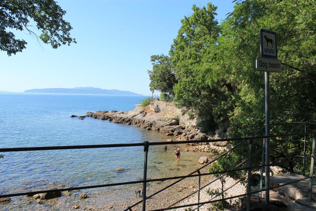 Příroda nedaleko apartmánu