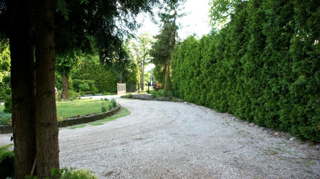 Zahrada ubytování Apartament Danuta Mrągowo