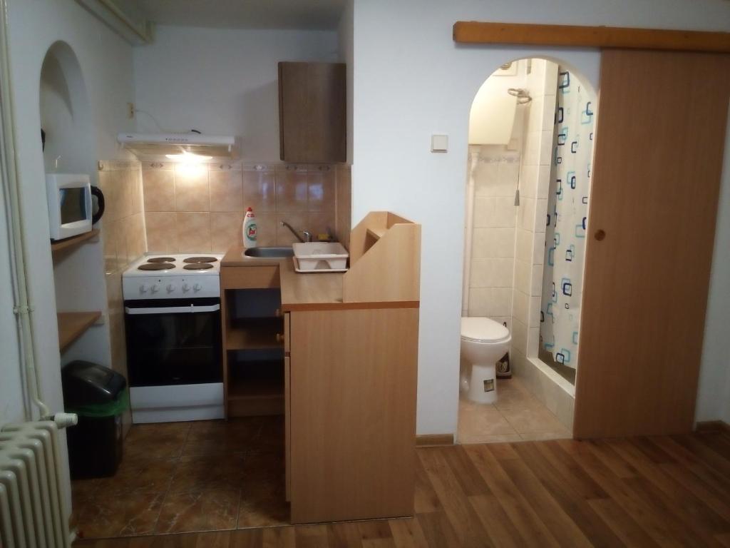 Kuchyň nebo kuchyňský kout v ubytování U Janečků