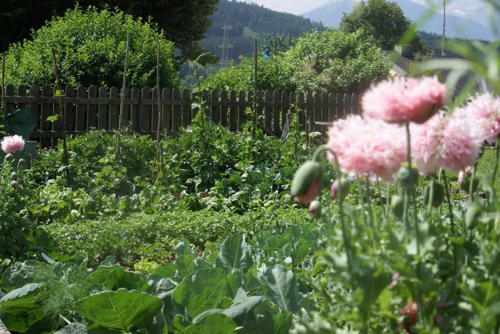 A garden outside MAYER - Wirtshaus und Dorfhotel