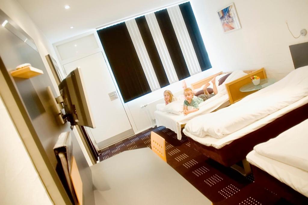 TV a/nebo společenská místnost v ubytování Hotel Hedegaarden