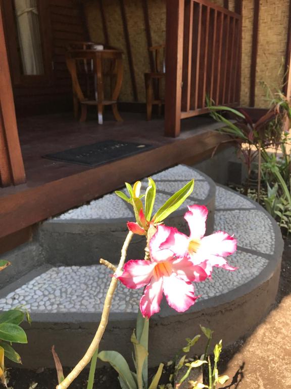 Meno Madia Bungalows - 14