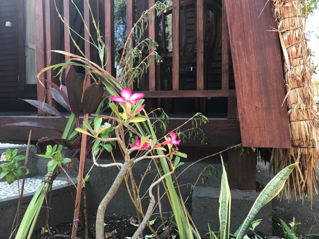 Meno Madia Bungalows - 15