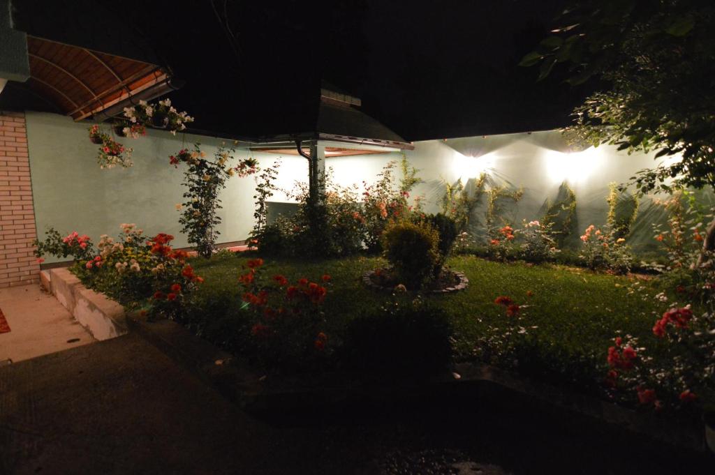 Zahrada ubytování Hotel 24 jul
