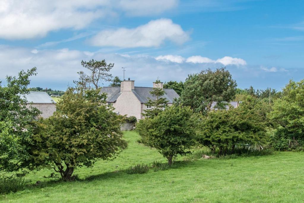 uma casa num campo com árvores em primeiro plano em Tyn Llain B&B em Llanfflewyn