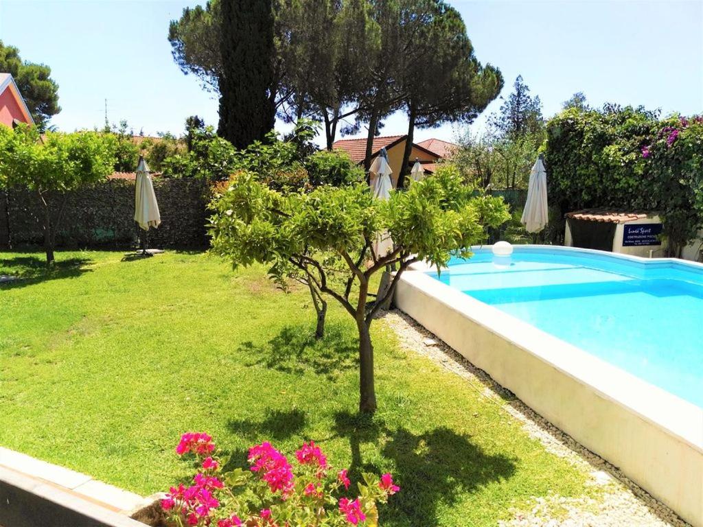 un piccolo albero in un cortile accanto a una piscina di Etna Shelter Holiday House a Mascalucia