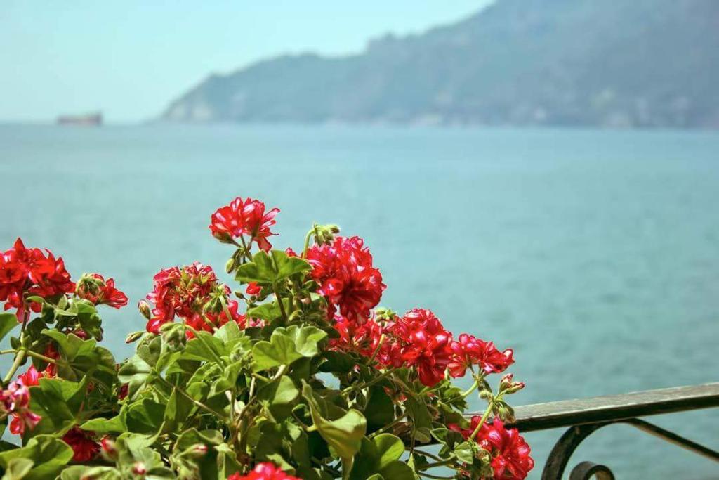 B&B Fronte Del Mare - 16