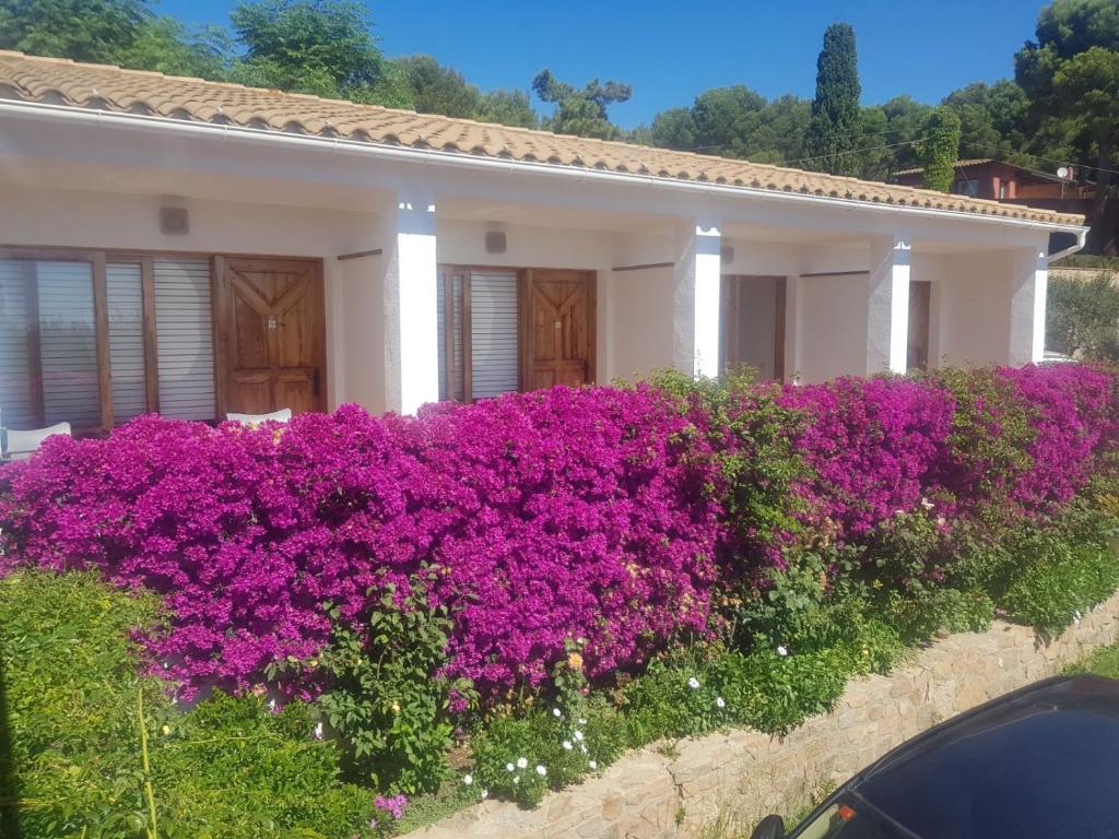 a large bush of purple flowers in front of a house at Hostal Ondina in Begur