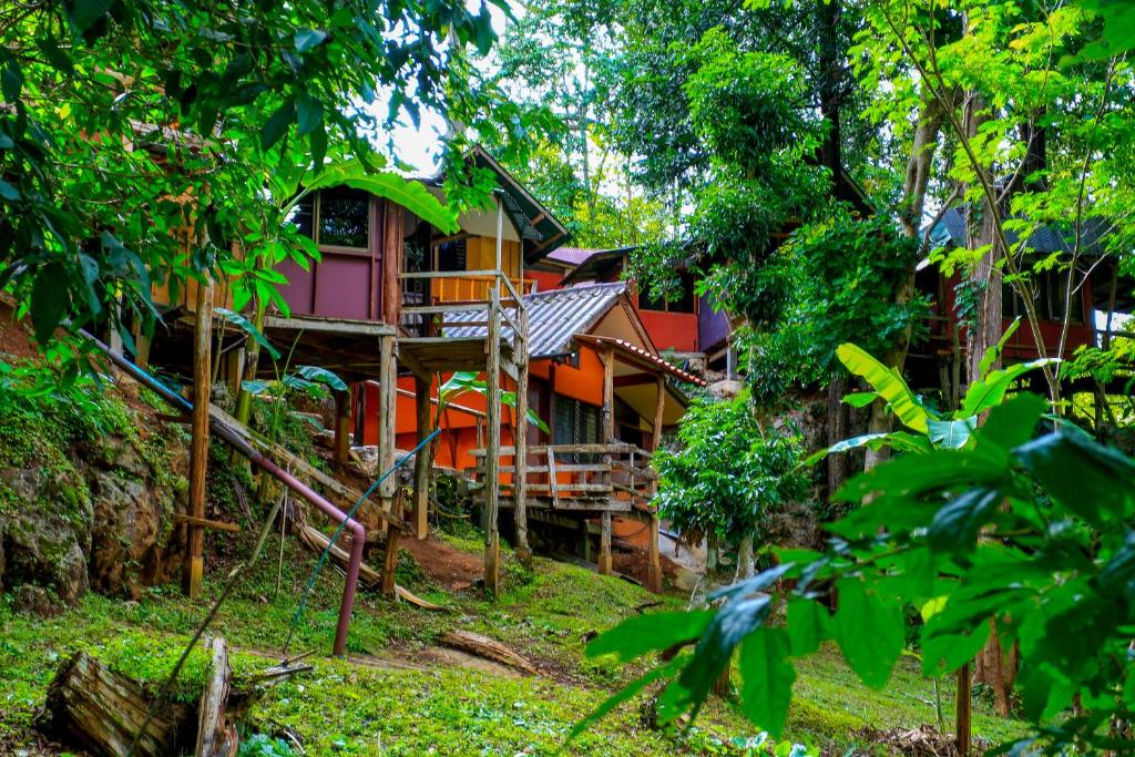 Zahrada ubytování Cave Lodge