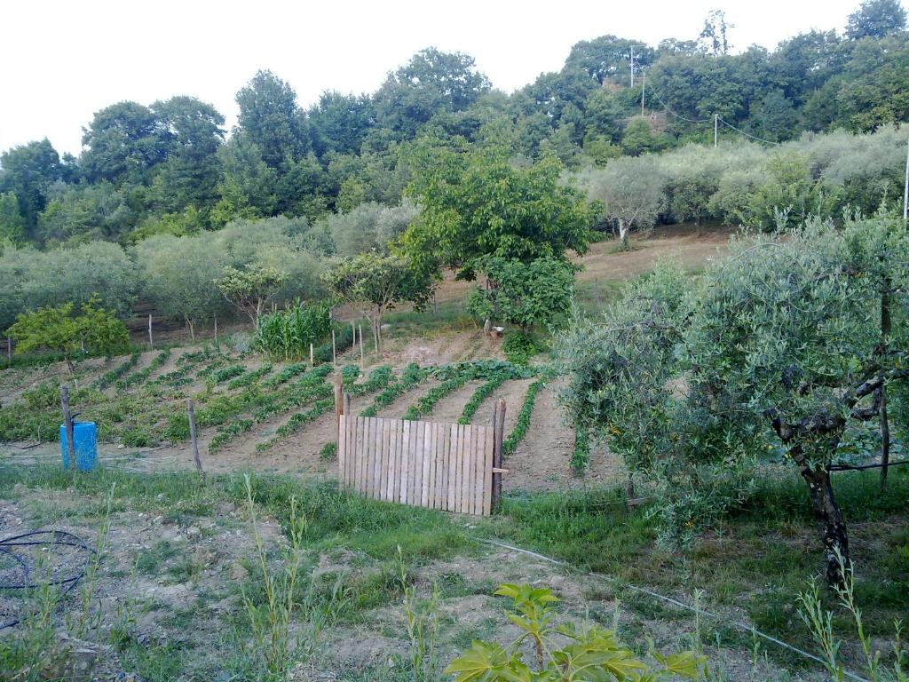A garden outside Agriturismo le Cammarose