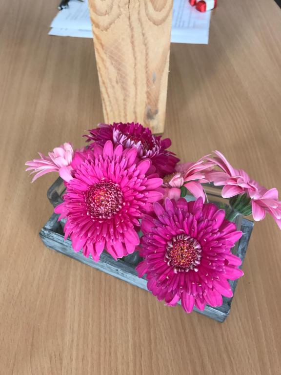 eine Gruppe rosa Blumen in einer Vase auf einem Tisch in der Unterkunft Glover Suite in Lübeck