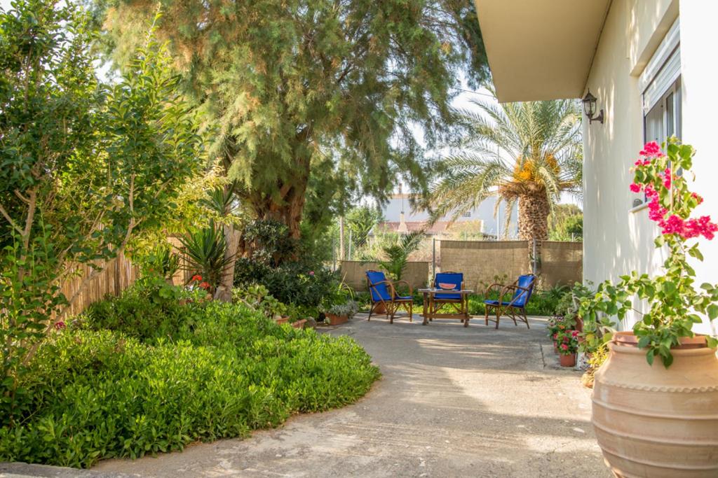 patio z niebieskimi krzesłami, drzewami i roślinami w obiekcie Sea and Sun w miejscowości Amoudara
