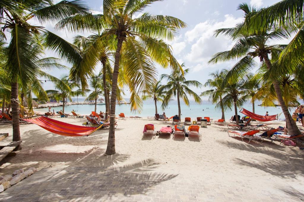 a beach with hammocks and palm trees and the ocean at Blue Bay Villa's in Blue Bay