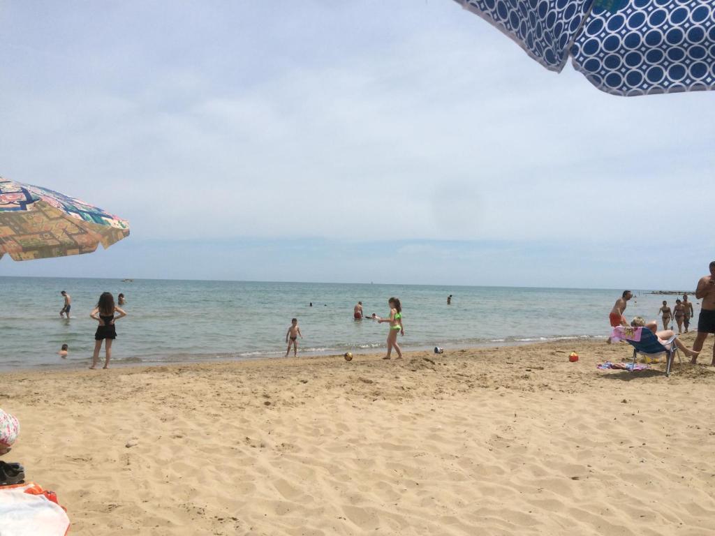 Príroda v okolí apartmánu
