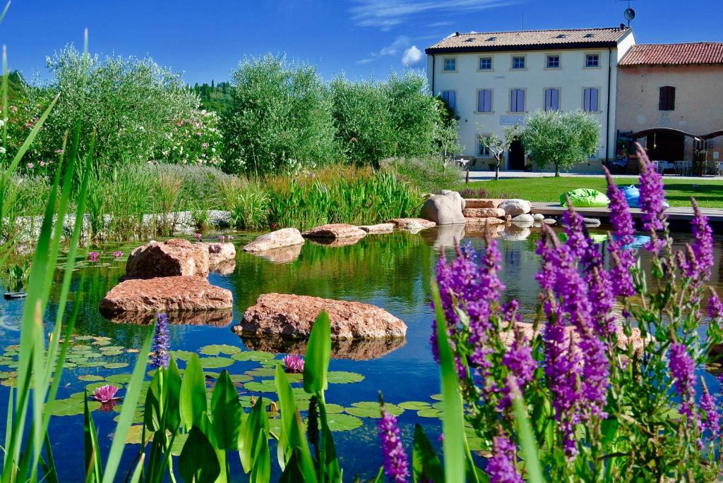 a garden with rocks in the water with purple flowers at Agriturismo Casa Aurora in Bussolengo