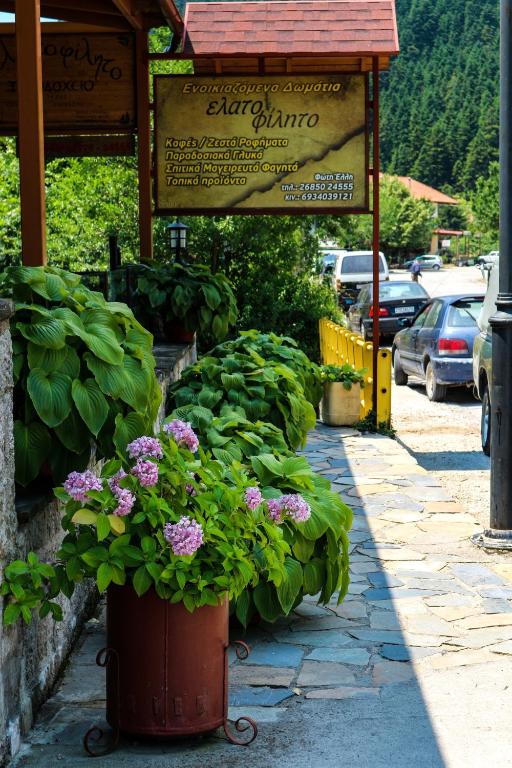 Zahrada ubytování Hotel Elatofilito