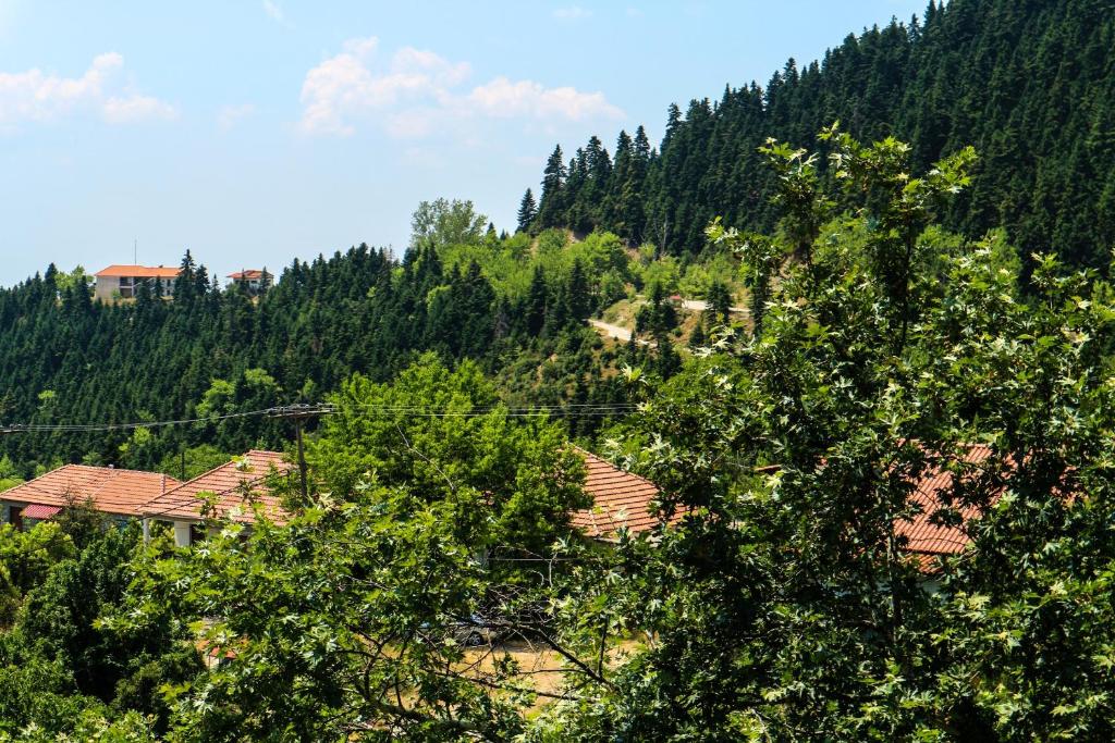 Příroda nedaleko aparthotelu