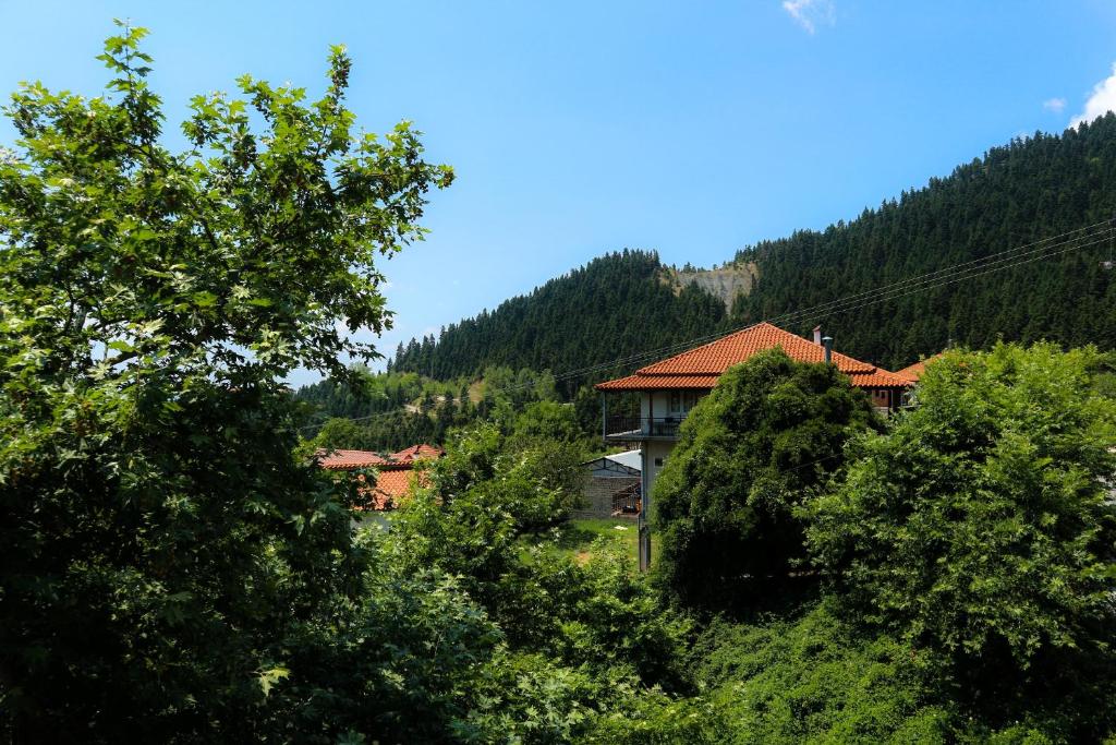 Příroda nedaleko aparthotelu