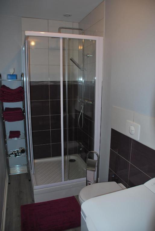 une salle de bain avec douche et toilettes dans l'établissement Les Ambassadeurs, à Vichy