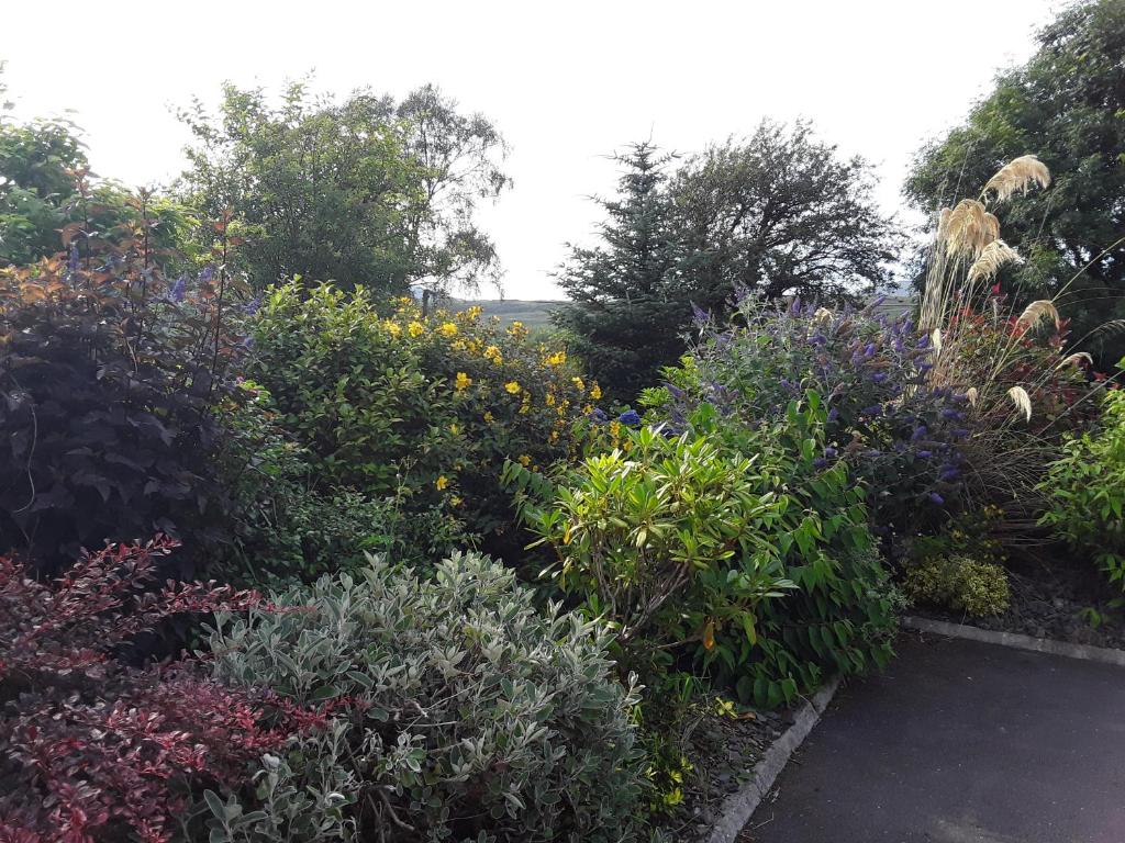 Zahrada ubytování Ard na Greine Bed & Breakfast Ballylickey