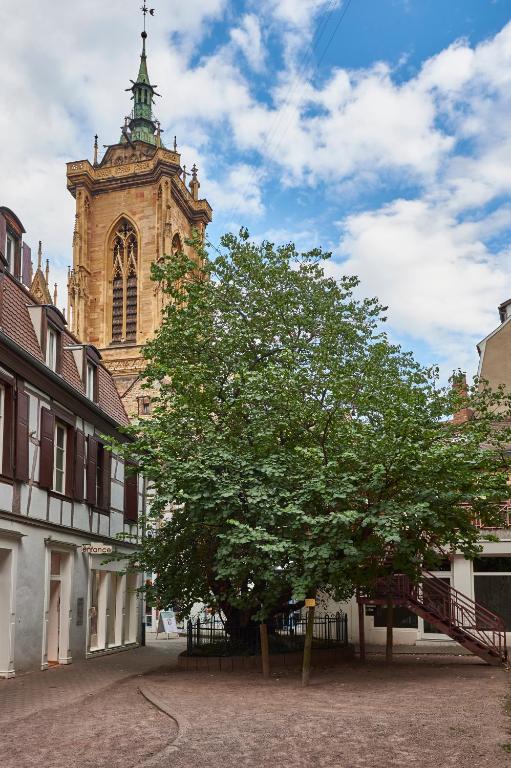 Les Appartements Saint-Martin - 19