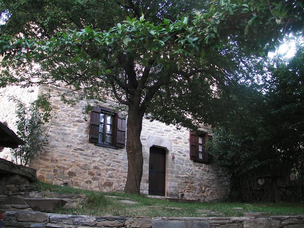Fotografie z fotogalerie ubytování Iliopetra Suites v destinaci Agios Lavredios