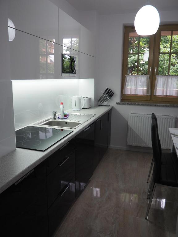 Kuchyňa alebo kuchynka v ubytovaní Apartament RED FLOWERS