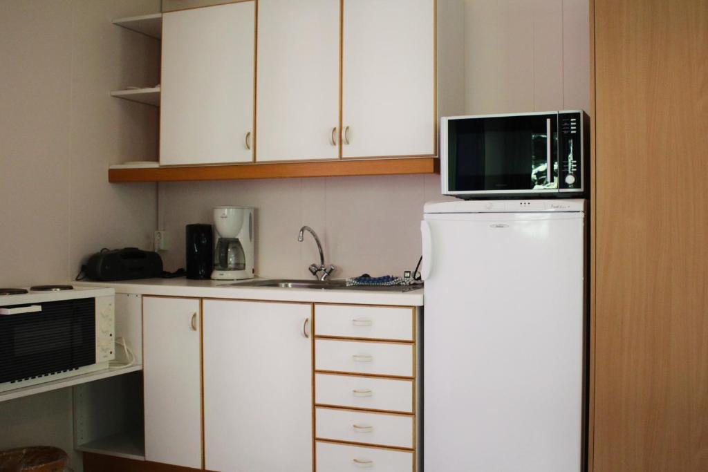 Kuchyň nebo kuchyňský kout v ubytování Guesthouse Svartiskógur Egilsstaðir