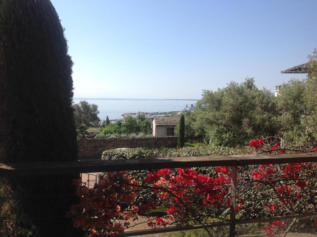 uma vista para um jardim com flores vermelhas numa cerca em Jardins En Ville em Bastia