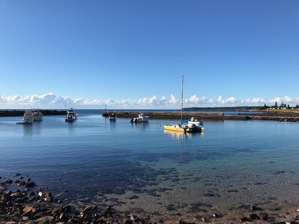a group of boats sitting in the water at Pelicans Rest Shellharbour in Shellharbour