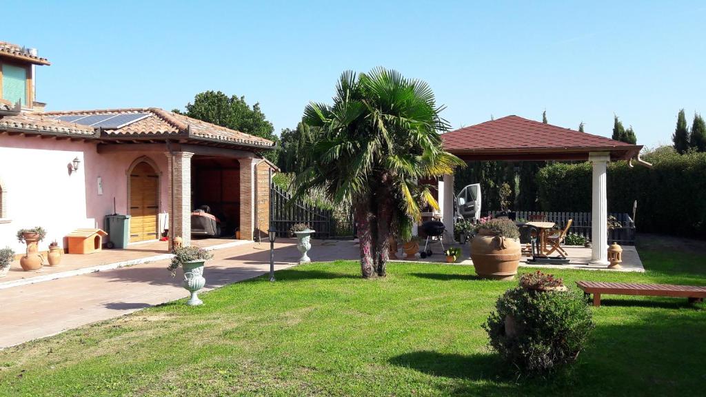 a house with a palm tree in a yard at B&B Villa Roberta in Viterbo