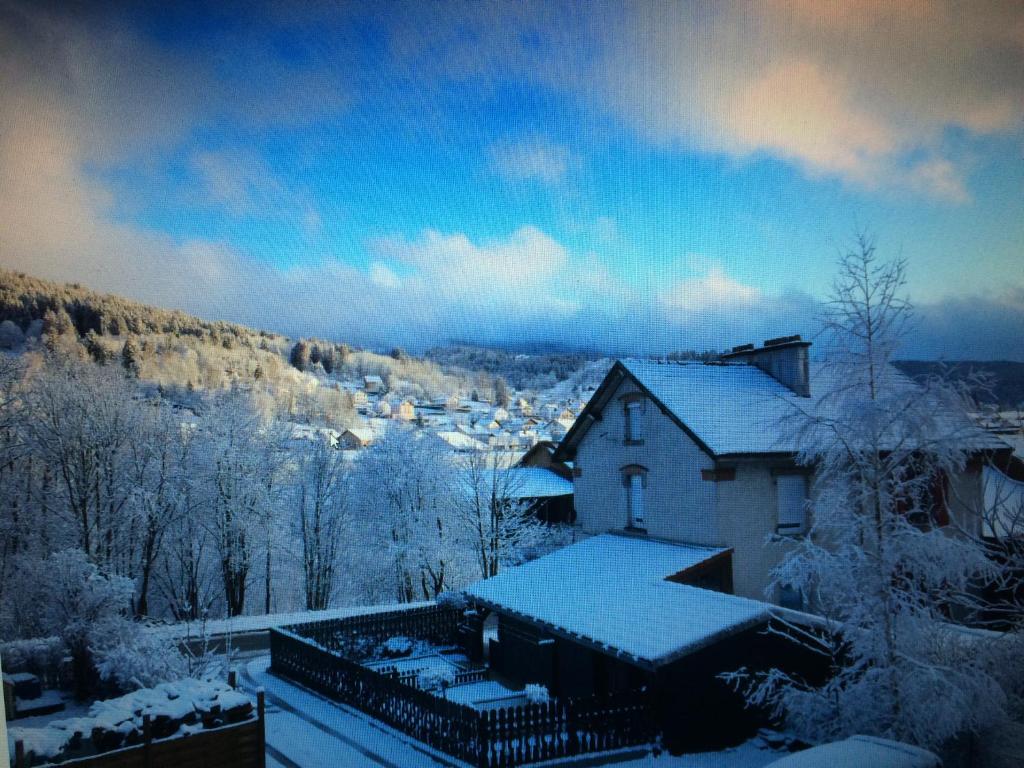 uma casa coberta de neve com uma cidade ao fundo em La trinite em Gérardmer