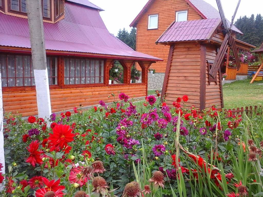 Zahrada ubytování Romashka Guest House