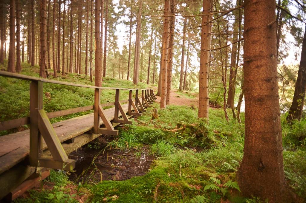 Zahrada ubytování Naturkost-Hotel Harz