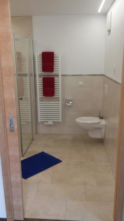 Kúpeľňa v ubytovaní Haus Fliri