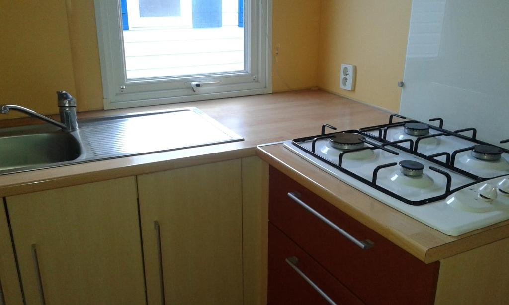 Kuchyň nebo kuchyňský kout v ubytování Camping Pirinenc