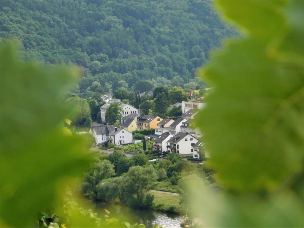 摩澤爾河畔的策爾的住宿－Fewo Winzerstrasse，山中的一个村庄,有河流和房屋